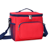 Fashion Stocked Waterproof Portable Insulated Lunch Box Soft Cooler Cooling Tote for Adult Men Women