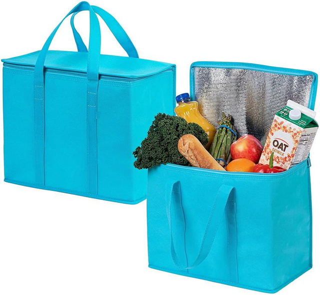 Wholesale factory price insulated thermal food box delivery cooler bag promotional non woven cooling bags