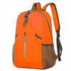 High Quality Packable Backpack Customize Logo Travel Waterproof Lightweight Foldable Backpack Folding Gym Back Pack