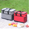 New Design Lightweight Cooler Bag Portable Insulated Lunch Cooler Bag with Double Layer