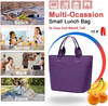 Wholesale Insulated Cooler Bags Luxury Lunch Bag Leakproof Insulated Lunch Purse College Work Picnic Canvas Cooler Bag
