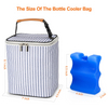 Double Layer Cute Cartoon 6 Bottles Breastmilk Cooler Bag Thermal Insulated Bag Breast Pump Bag Backpack