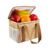 Free Sample!Promotion Custom Waterproof Picnic Food Bag Lunch Bbq DuPont Paper Insulated Lunch Thermal Cooler Bag