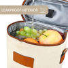 Picnic Reusable Portable Bottle Carrier Cooler Bag Custom 2 Bottle Wine Bag Insulated
