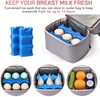 Custom Logo Picnic Leakproof Insulated Thermal Lunch Box Shoulder Tote Breastmilk Cooler Bag