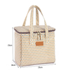 BSCI Factory New Canvas Custom Printing Insulation Bag Large Capacity Outdoor Picnic Working Portable Lunch Cooler Bag