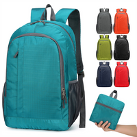 Hot Sell Lightweight Travel Backpack Custom Logo Durable Fabric Waterproof Folding Bags Day Packs