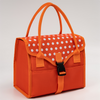 Hot Sell Popular Thermal Lunch Bags for Women Wholesale Custom Print Insulated Cooler Lunch Bag for Business Adults