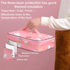2022 New Flat Easy To Carry Bag Waterproof Multi-Functional Thermal Insulation Student Portable Lunch Cooler Bag