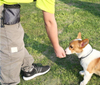 Stylish Lightweight Portable Small Pet Training Treat Pouch Waist Belt Dog Treat Bag Training