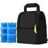 Custom Logo Picnic Leakproof Insulated Thermal Lunch Box Shoulder Tote Breastmilk Cooler Bag