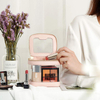 Luxury Ladies Clear PVC PU Lipstick Storage Case Small Makeup Carrying Zipper Bag