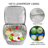 Hot Sale New Design Aluminum Foil Breast Milk Bottle Insulation Cooler Bag