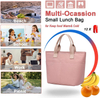 Large Cooler Bag Insulated Lunch Bag Women with Portable Handle Beach Hiking Work Picnic Cooler Tote Bag