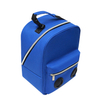Insulated Lunch Box Bag for Men Women Adults Large Insulated Tote Cooler Bag with Speaker Insulated Foil Bag