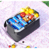 Custom Logo Foldable Picnic Cooler Basket Lunch Bag Cooler Tote Thermal Insulation Fabric for Cooler Bags