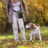 Fashion Pet Walking Outdoor Running Treat Waist Bag Dog Snack Kibble Awards Storage Training Pouch Bag