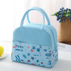 Fashion Women Insulated Lunch Bags Box for Women Work Cute Lunch Bags for Girls Lunch Tote Bag for Work Daily Use