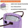 OEM Reusable Waterproof Woman Girls School Work Ice Food Thermal Bag Lunch Gym Bicycle Picnic Insulated Tote Bag Cooler