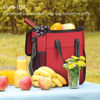 Eco Friendly Reusable Insulated Thermal Wine Bags 6 Bottle Wine Carrying Cooler with Handle And Adjustable Shoulder Strap