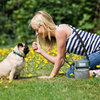 Pet Feeding Bag Outdoor Convenient Multi-functional Dog Snack Bag Pet Training Bag