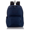 OEM China Manufacturer 15 Inch Laptop Carry on Backpack Bag Hiking Leisure Rucksack Backpacks School