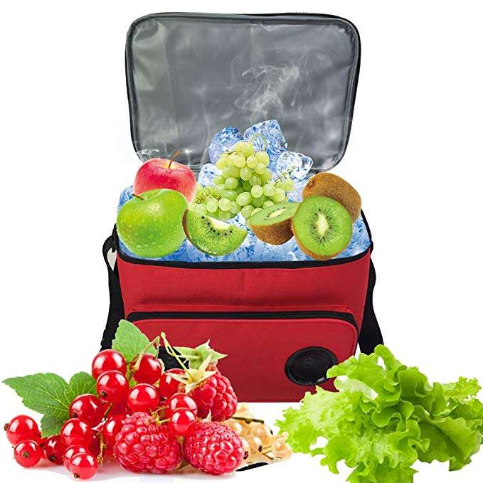 Large Capacity Waterproof Promotion Bulit-in Speaker Music Player Fruit Drink Food Cooler Bag