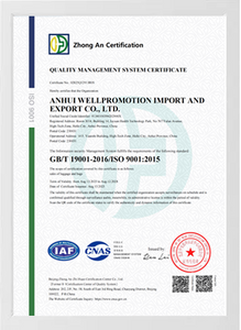 ISO 9001