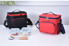 Lightweight Insulated Cooler Bag Leak Proof Drink Cooler Bag Collapsible Portable Cooler for Lunch Picnic Camping Beach BBQ
