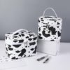 Fashion Makeup Bag Portable Travel Makeup Bag Organizer Cosmetic Bag for Women