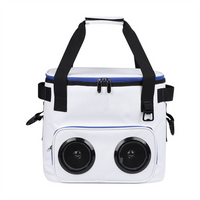 New Insulated Tote Bag Thermal Bag Beach Personalized Cooler Bags with Speaker