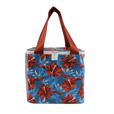 Insulated Cooler Bag