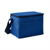 Insulated Cooler Bag Oxford Lunch Tote Thermal Picnic Bag with Aluminum Foil Lining for Camping