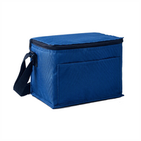 Insulated Cooler Bag Oxford Lunch Tote Thermal Picnic Bag with Aluminum Foil Lining for Camping