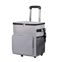 Double Layer Insulated Lunch Bag Large Capacity Cation Cooler Bag Portable Food Storage Bag for Office Camping Picnic