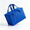 Wholesale Custom Insulated Thermal Delivery Bag Waterproof Oxford Fabric Aluminum Foil Cooler Pouch With Ice Packs