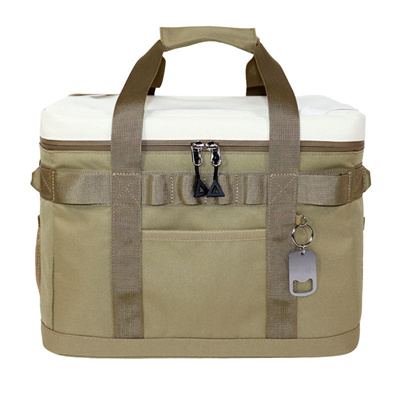 Cooler Bag